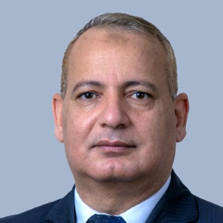 د. محمد أحمد المنشاوي